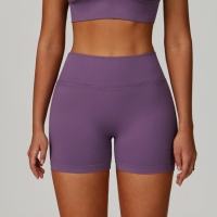 V-Waist Seamless Knit Yoga Shorts 7790