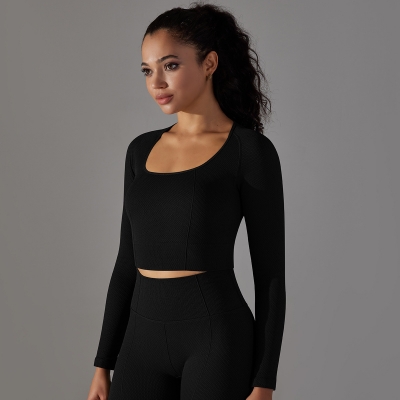  Quick-Dry Tight Long-Sleeve Sportswear 6621